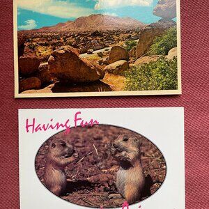 Vintage Lot of 12 Arizona Unused Postcards